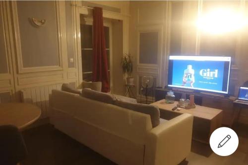 un salon avec un canapé et une télévision à écran plat dans l'établissement Appartement idéal en centre ville, à Pont-Audemer