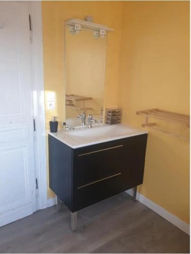 une salle de bain avec un lavabo et un miroir dans l'établissement Appartement idéal en centre ville, à Pont-Audemer