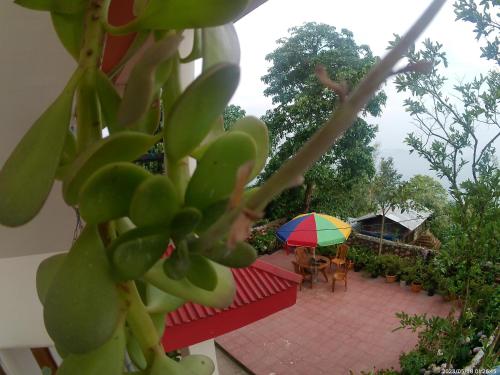 a view of a patio with a table and an umbrella at Bethel homestay Delo in Kalimpong