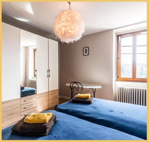 Monnetier-Mornex的住宿－Maison de village T4 3 chambres avec parking gratuit Monnetier-Mornex，一间卧室配有一张蓝色大床和镜子