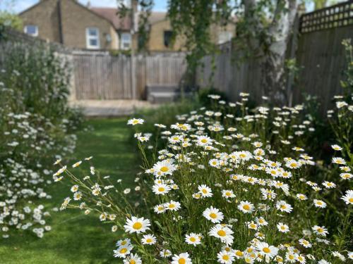 un jardín lleno de flores blancas y amarillas en Dahomey Home - Streatham - London, en Londres