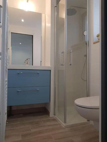 une salle de bain avec un lavabo bleu et des toilettes dans l'établissement Guest House entre ville et océan, à La Rochelle
