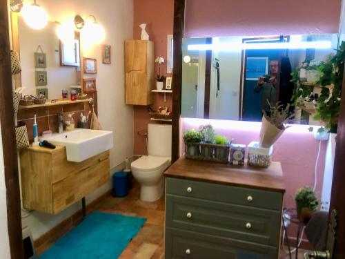 ein Badezimmer mit einem Waschbecken, einem WC und einem Spiegel in der Unterkunft la villa provençale in La Motte-Chalançon
