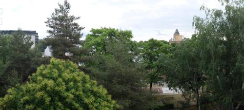 a group of trees with a building in the background at Fat Kaz Apartment in Wrocław