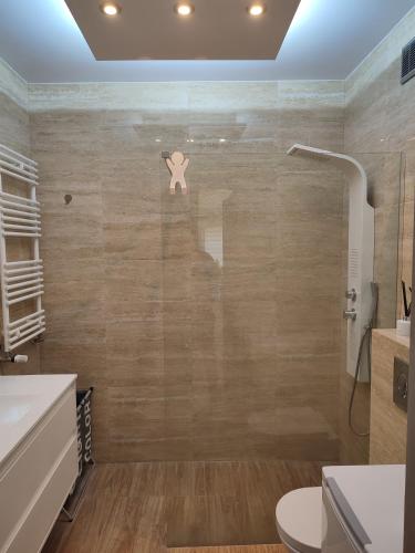 La salle de bains est pourvue d'une douche avec une porte en verre. dans l'établissement Apartament Gołebiewskiego w Bydgoszczy, à Bydgoszcz