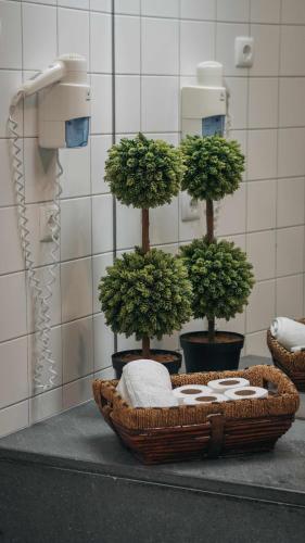 a wicker basket with trees in a public bathroom at Casa do Parque - Casa familiar in Nordeste