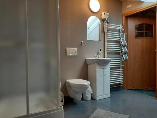 W łazience znajduje się toaleta, umywalka i prysznic. w obiekcie Noclegi Viktor w mieście Kalwaria Zebrzydowska