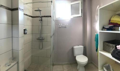a bathroom with a shower and a toilet at Appartement cosy - vue mer in Le Robert