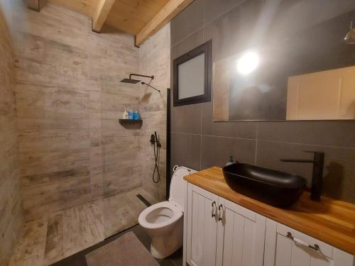 baño con lavabo negro y aseo en Gilboa Siesta / סייסטה בגלבוע en Nurit