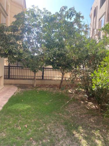 a tree in a yard next to a fence at Super luxurious villa with large landscape areas in Cairo