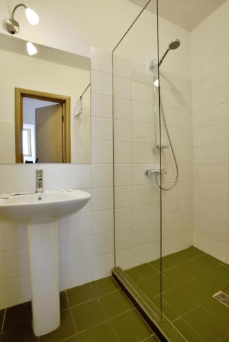 a bathroom with a sink and a glass shower at Draugų namai in Druskininkai