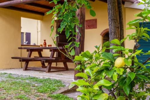 a picnic table in the back yard of a house at Limone - Agriturismo La Fattoria in Grosseto