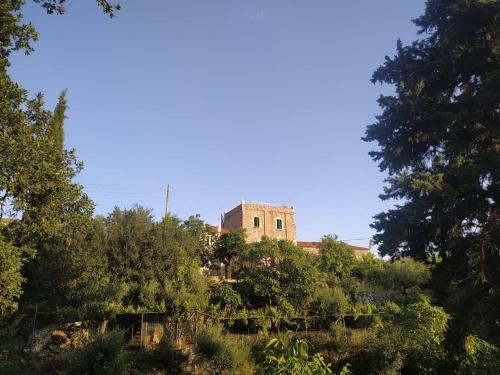 a building on top of a hill with trees at Πύργος Καπουλέα in Limbókhova