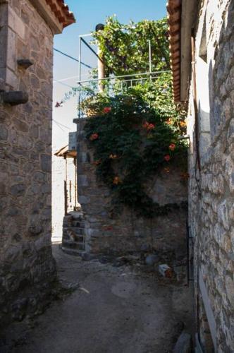 an alley with a plant on the side of a building at Πύργος Καπουλέα in Limbókhova
