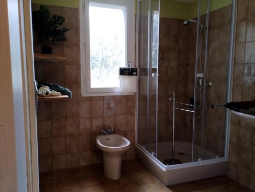 a bathroom with a shower and a toilet and a window at Chez David et Sonia in Éguzon-Chantôme