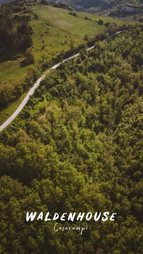 a road in the middle of a field with trees at Walden House Casarampi in Orsano