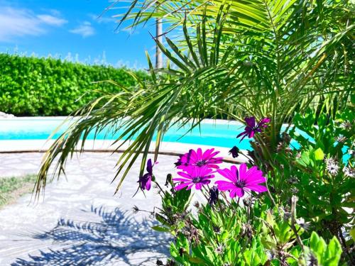 Villa four Elements with private pool and sea view – Photos 3