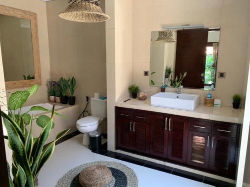 a bathroom with a sink and a toilet and a mirror at Villa Olga in Seminyak