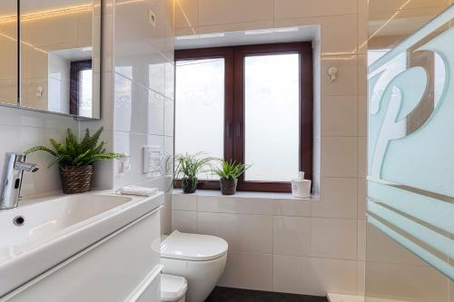 uma casa de banho com um WC, um lavatório e uma janela em BnB Pastel em Dilsen-Stokkem