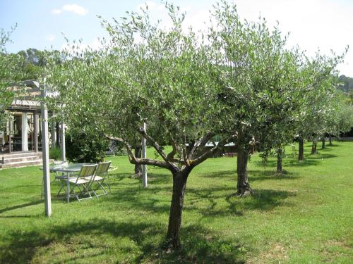 Zahrada ubytování Cigaléo, Chambre d'hôtes dans le Var