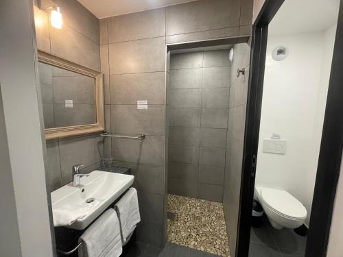 a bathroom with a sink and a toilet at Clos De La Vaupalière - Rouen in La Vaupalière