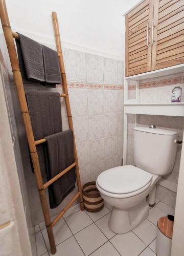 La salle de bains est pourvue de toilettes et d'un sèche-serviettes. dans l'établissement Sur les Pavés du Pont Vieux..., à Carcassonne