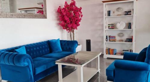 Meduza Hotel في أوليمب: أريكة زرقاء وكرسيين زرق في غرفة المعيشة