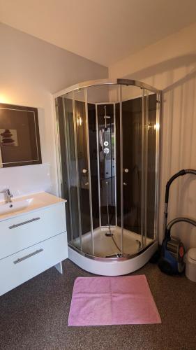 une salle de bain avec une douche avec un lavabo et un miroir dans l'établissement Les gîtes de Cour Rémond, à Villers-la-Faye