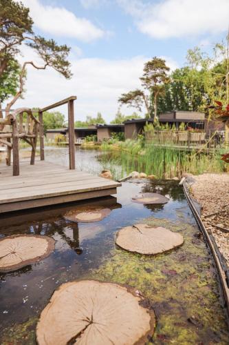 a wooden bridge over a body of water at Soof Heuvelrug in Rhenen