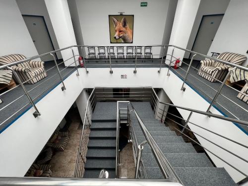 a staircase with chairs and a picture of a dog on the wall at Motel Carmen in Baia Mare