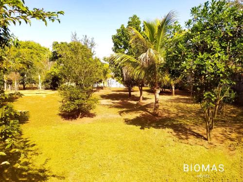 a field of grass with trees and palm trees at Biomas Hotel in Brotas