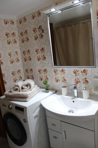 La salle de bains est pourvue d'un lavabo et d'un lave-linge. dans l'établissement Comfortable Apartment in the Center of Alexandroupolis, à Alexandroúpolis