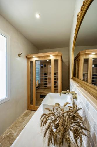 a bathroom with a sink and a mirror at l'Alcove - SPA&SAUNA privé - Oliveraie d'Eurocentre in Castelnau-dʼEstrétefonds