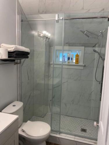 a bathroom with a glass shower with a toilet at The Water Street Inn in Napanee