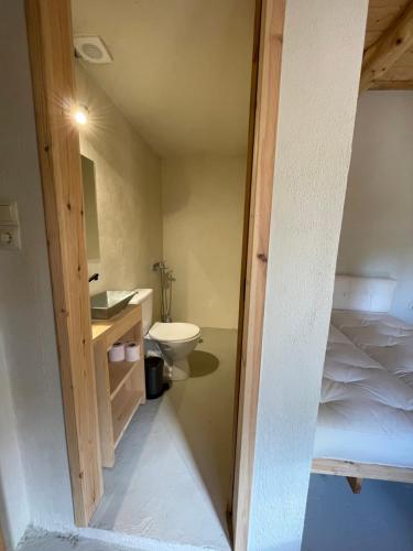 ein Bad mit einem Bett, einem WC und einem Waschbecken in der Unterkunft Petres old village house 