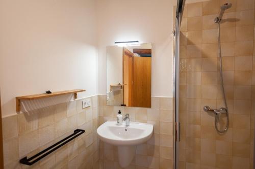 La salle de bains est pourvue d'un lavabo et d'une douche. dans l'établissement CASA TERRA ALMA, à Laza