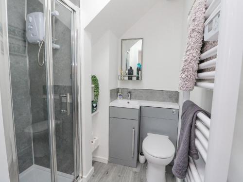 a small bathroom with a toilet and a shower at Ben View in Arrochar