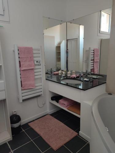 baño con lavabo y espejo grande en Charming 48 m apartment in downtown Avignon, en Aviñón