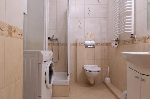 a bathroom with a toilet a sink and a washing machine at ABA Apartamenty Comfort Family in Krynica Zdrój