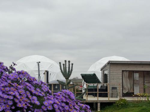 Fotografie z fotogalerie ubytování LoveLand Farm Kupolai v destinaci Dyburiai