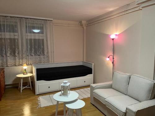 een woonkamer met een bank en een flatscreen-tv bij Kalmár Apartman in Veszprém
