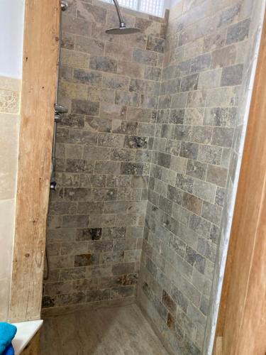 a shower in a bathroom with a stone wall at Garsoniera langa plaja in Constanţa