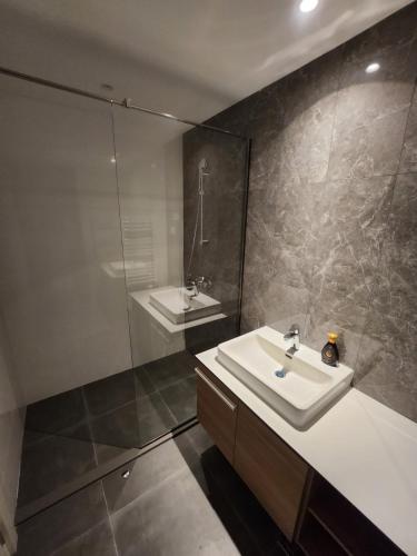 un baño con lavabo y ducha en BW VERDE LUX, en Sajmište
