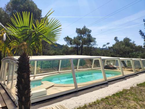 a house with a swimming pool and a palm tree at La Tourelle Suite Cosy entre vignoble aixois et Luberon in Le Puy-Sainte-Réparade