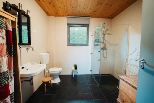 a bathroom with a toilet and a sink and a shower at St. Barbara Hideaway in Škofja Loka