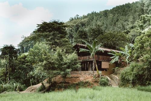 a house in the middle of a forest at Arawe Retreat in Ella