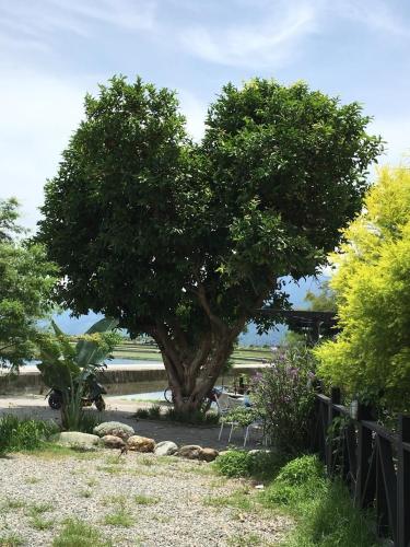 a heart shaped tree in the middle of a yard at 好和院景 How Has in Chishang