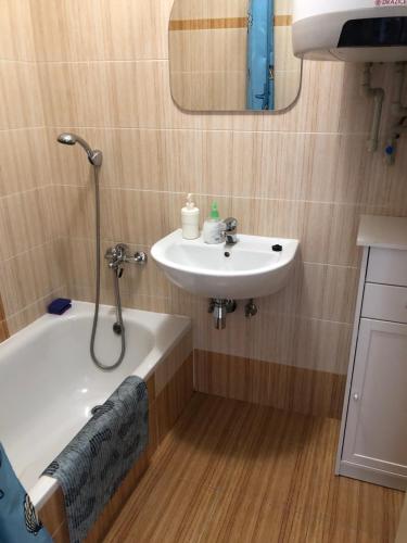 een badkamer met een wastafel en een bad naast een wastafel bij Apartmán Orlík nad Vltavou in Orlík