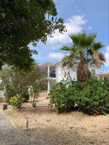 a white house with a palm tree and flowers at Imo Blue Sea in Prainha