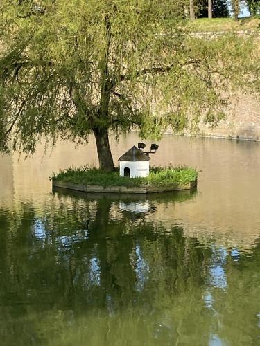 Le Gai Lo Gite – Photos 4